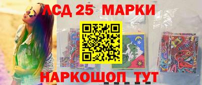 спиды Гай