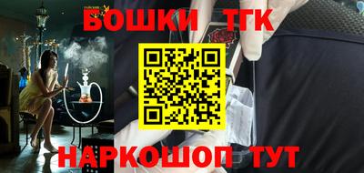 спиды Гай
