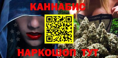 спиды Гай