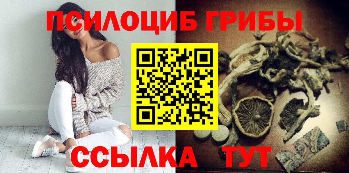 Галлюциногенные грибы GOLDEN TEACHER  Вход с VPN  Галлюциногенные грибы мухоморы  Губкин 