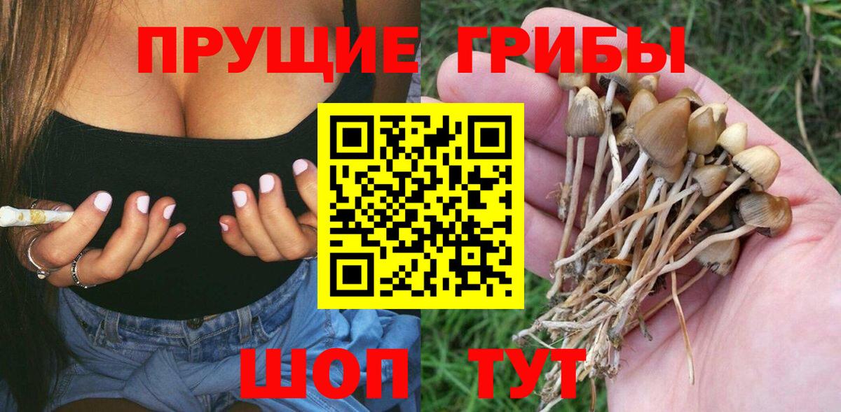 Марихуана Губкин