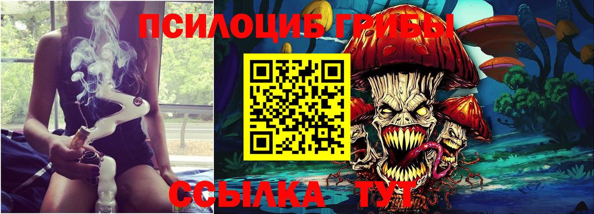 Псилоцибиновые грибы мухоморы Губкин